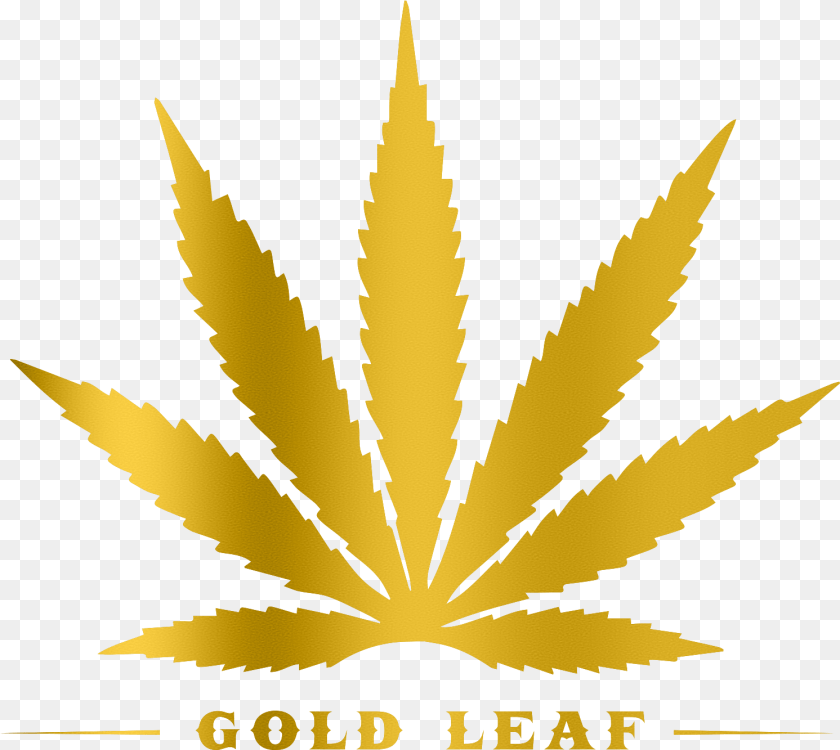 1492x1333 Gold Leaf Beer Gold Weed Leaf, Plant, Animal, Fish, Sea Life Sticker PNG