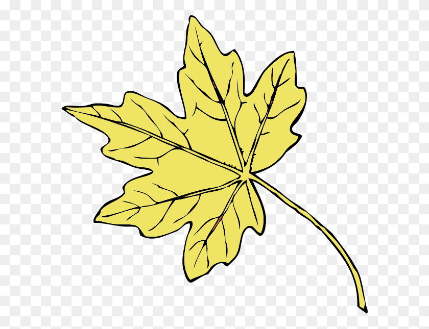 600x585 La Hoja De Arce De Oro Png / Hoja De Acción De Gracias Hd Png