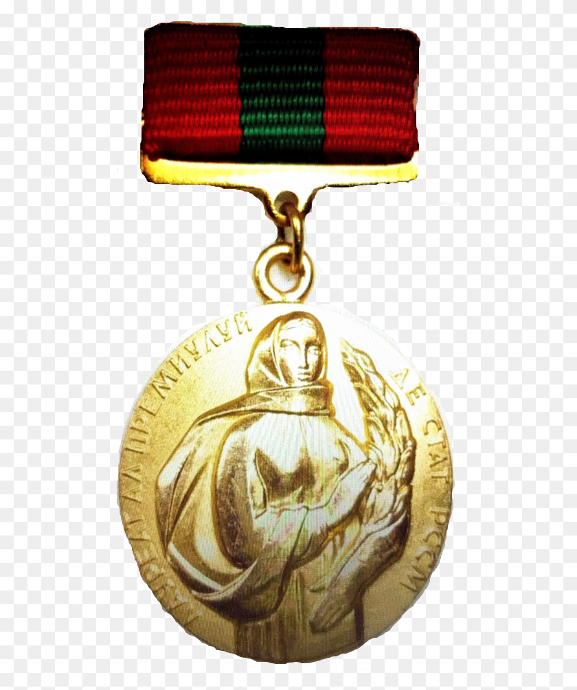 501x945 Medalla De Oro Png / Medalla De Oro Hd Png