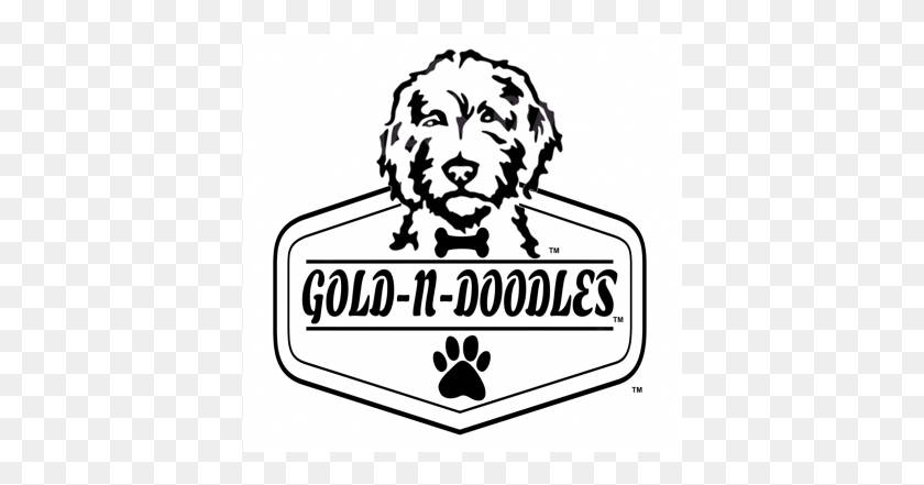 400x381 Gold N Doodles Logo Illustration, Label, Text, Symbol HD PNG Download