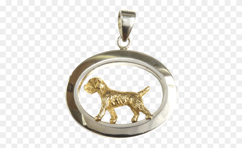 390x455 Gold Or Sterling Silver Border Terrier In Glossy Locket, Pendant HD PNG Download