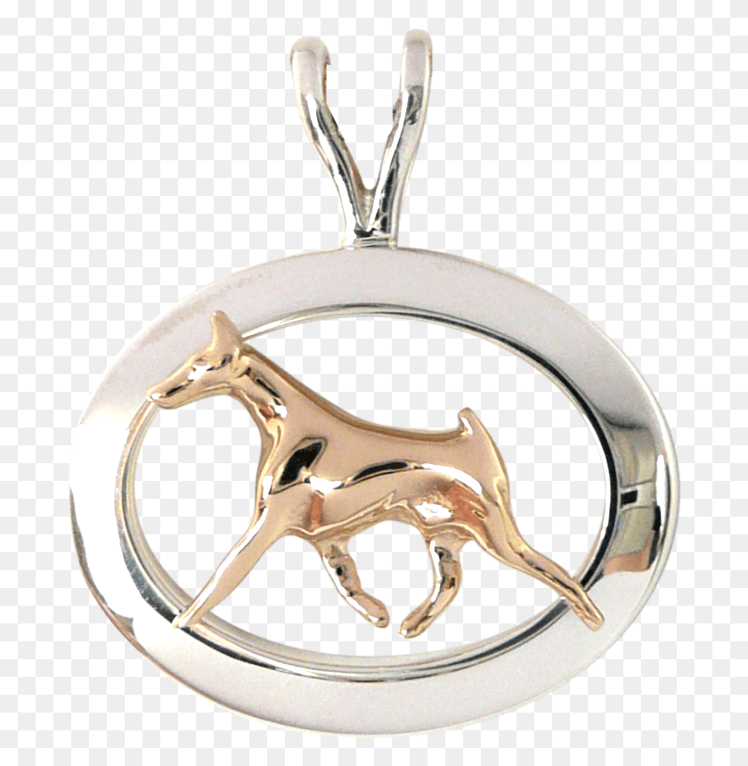 690x800 Gold Or Sterling Silver Doberman Pinscher In Glossy Locket, Pendant, Accessories, Accessory HD PNG Download