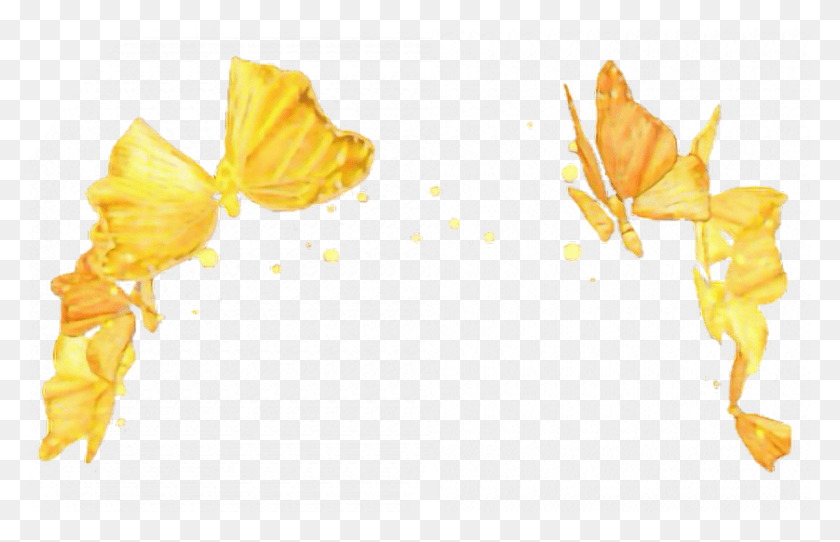 838x518 Золотой Фильтр Snapchat Бабочка Цветок Корона Фильтры Snapchat, Растение, Лепесток, Цветение Png Скачать