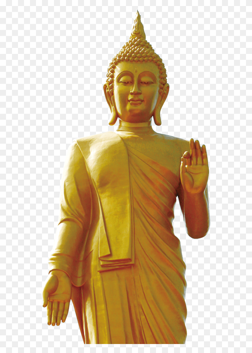 565x1119 Buda De Oro De Pie Tailandia, Adoración, Persona Hd Png