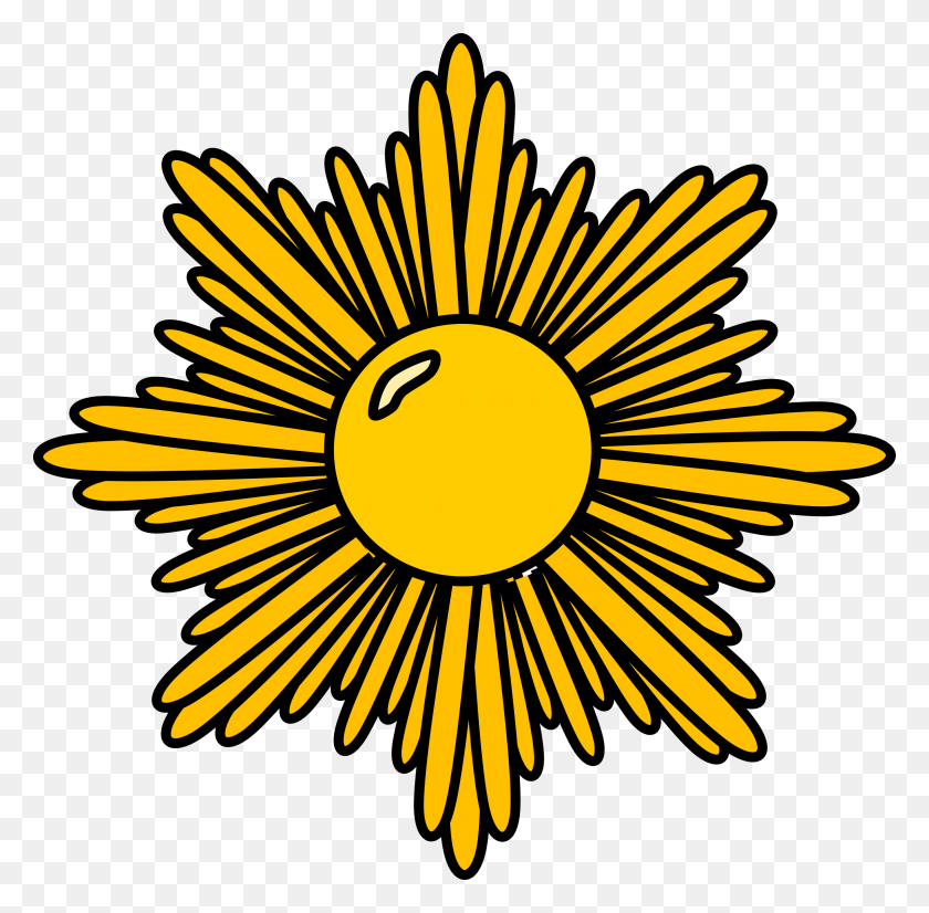 2400x2359 Gold Starburst Image Girl Scout Gold Award, Plant, Flower, Blossom HD PNG Download