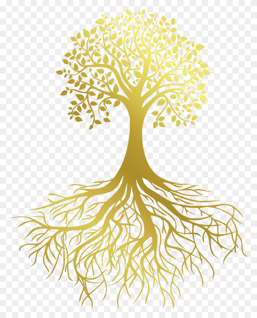 6686x8400 Gold Tree Without Shadow HD PNG Download