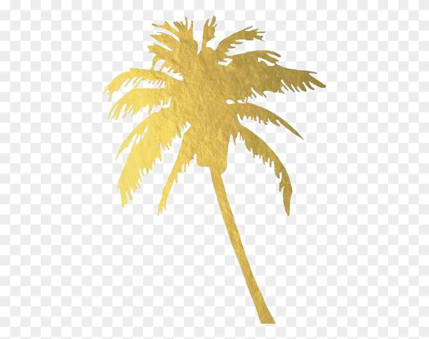 436x604 Gold Tropical Palmtree Palmeraarbol Gold Palm Tree, Leaf, Plant, Outdoors HD PNG Download