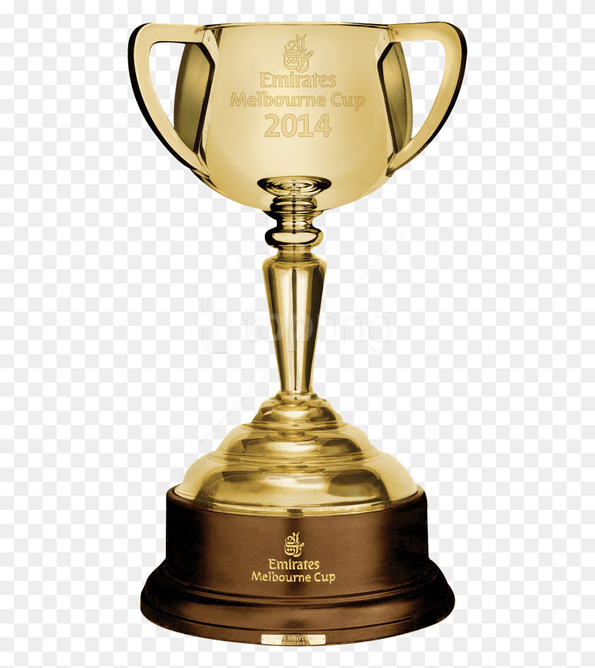 480x883 Trofeo De La Copa De Oro Png / Trofeo De La Copa Png