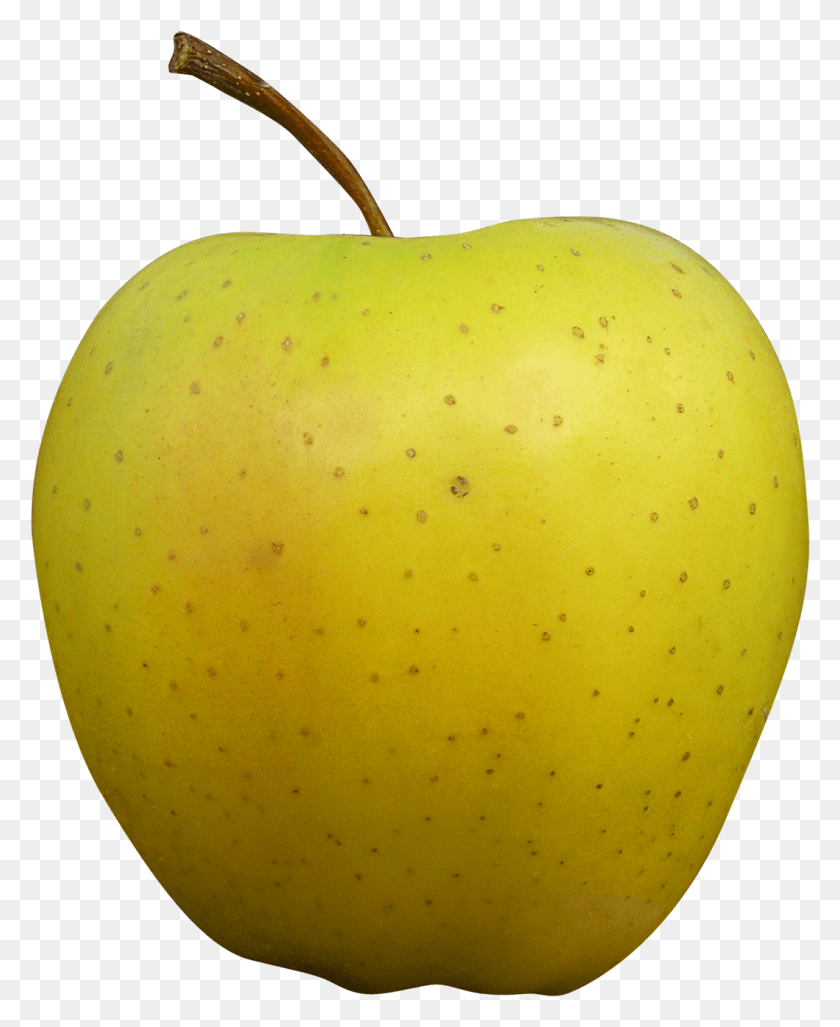 1059x1314 Golden Delicious Apple Transparent Golden Apple Transparent Background, Plant, Fruit, Food HD PNG Download