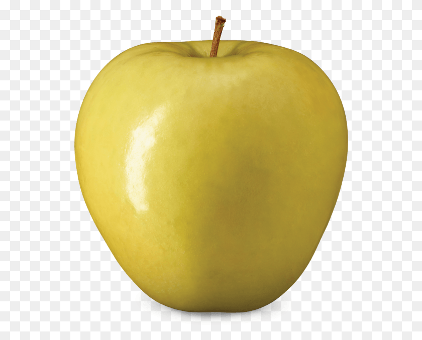 548x617 Golden Delicious Golden Delicious Apple, Plant, Fruit, Food HD PNG Download
