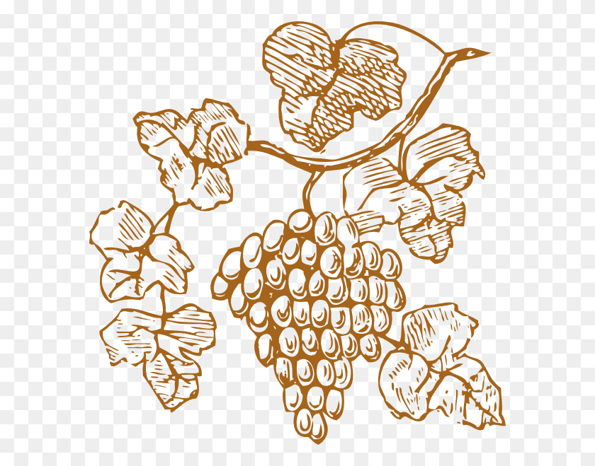 588x599 Golden Grapes Clip Art Grapes Clipart, Plant, Food, Doodle HD PNG Download