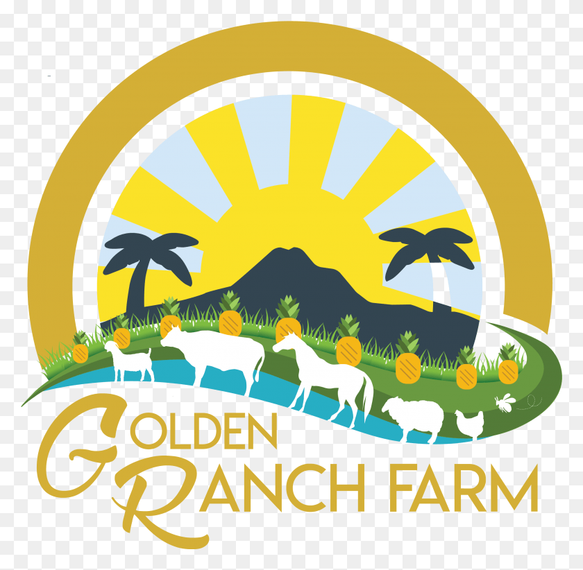 2650x2591 Golden Ranch Farm Graphic Design, Poster, Advertisement, Graphics HD PNG Download