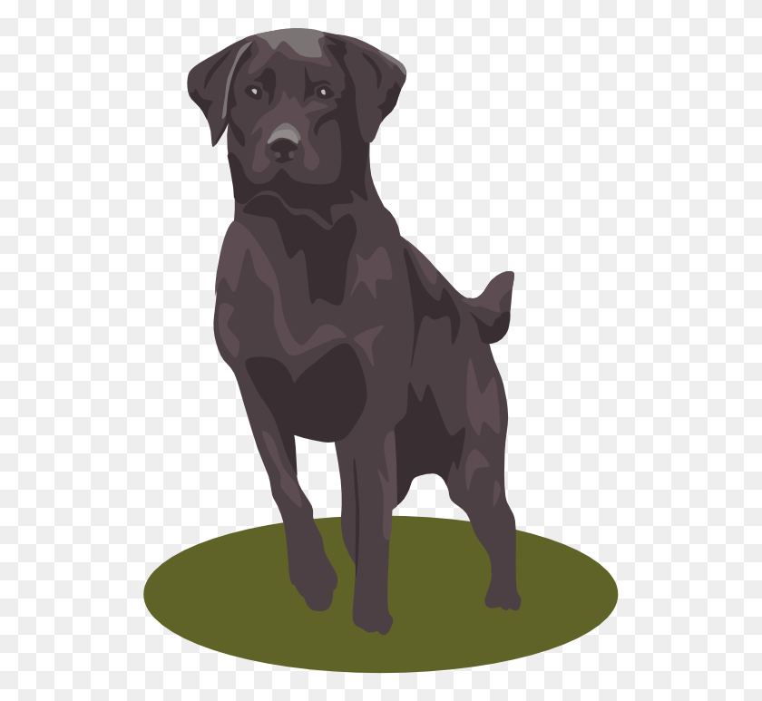 525x713 Golden Retriever Clipart Chocolate Lab Puppy Black Lab Dog Clipart, Pet, Animal, Mammal HD PNG Download