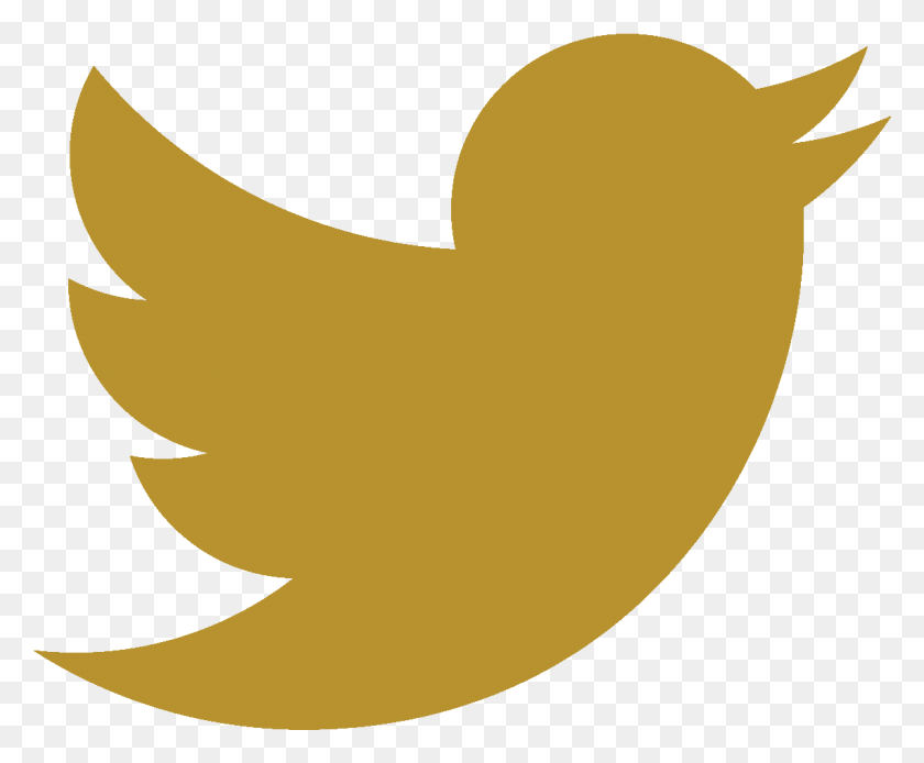 1141x928 Golden Twitter Logo Twitter Logo Red, Bird, Animal, Shark HD PNG Download