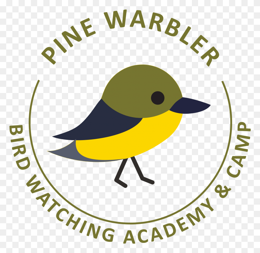 2022x1962 Golden Winged Warbler Clipart Trsic, Animal, Bird, Finch HD PNG Download