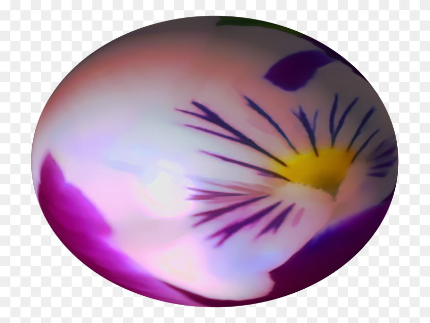 719x571 Golden Zigzag Viola, Plant, Purple, Flower HD PNG Download