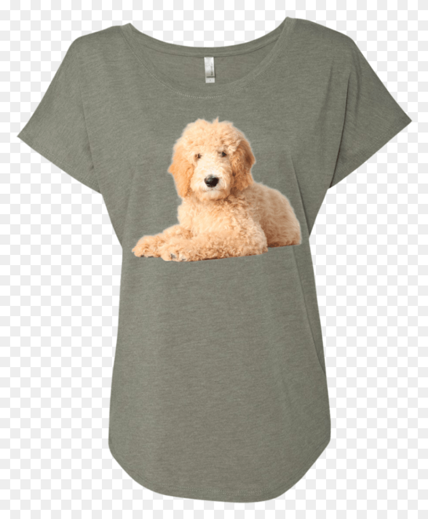 828x1018 Goldendoodle Dolman Sleeve Companion Dog, Clothing, Apparel, Pet HD PNG Download