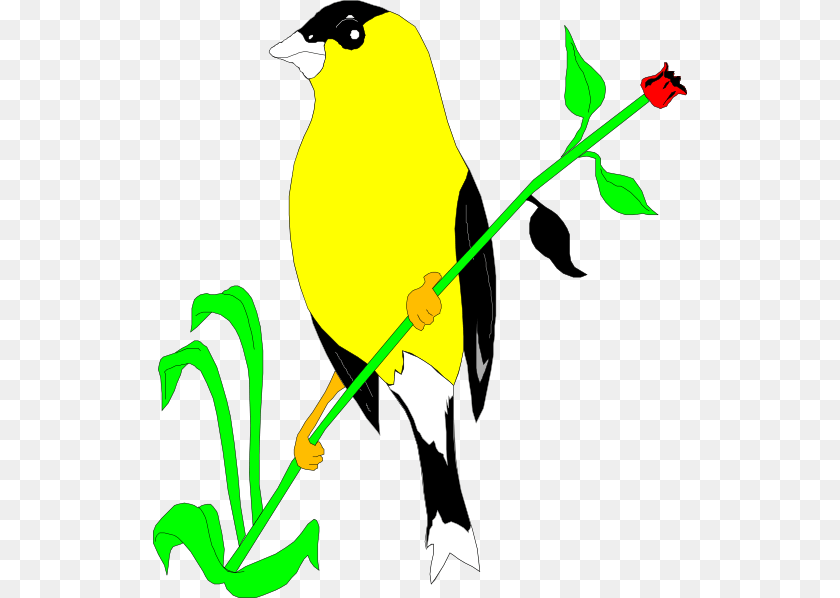 Goldfinch On A Flower Stem Clip Art, Animal, Bird, Finch, Canary Sticker PNG