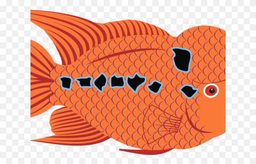 640x480 Goldfish Clipart Puffer Fish Goldfish, Animal, Dinosaur, Reptile HD PNG Download