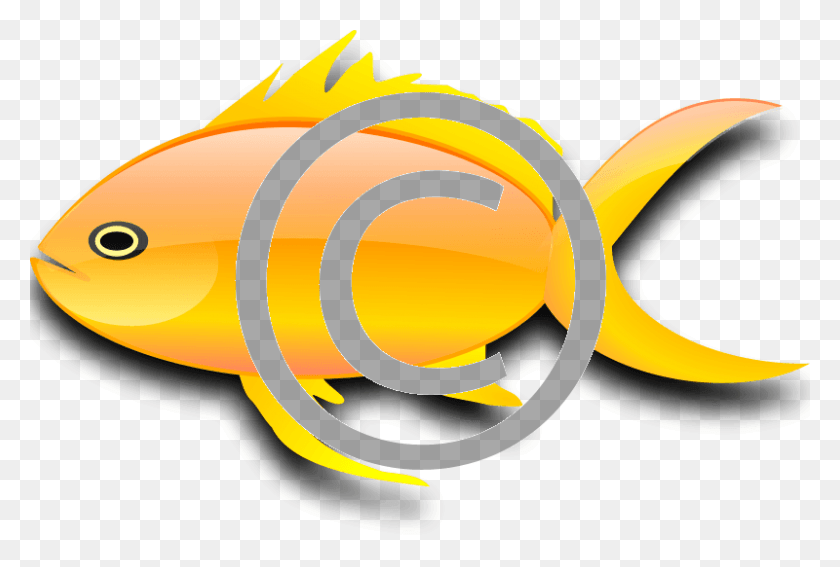 800x521 Goldfish Gold Fish Clip Art, Food, Plant, Weapon HD PNG Download
