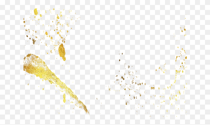 Goldpaint Art, Plant, Flower, Blossom HD PNG Download