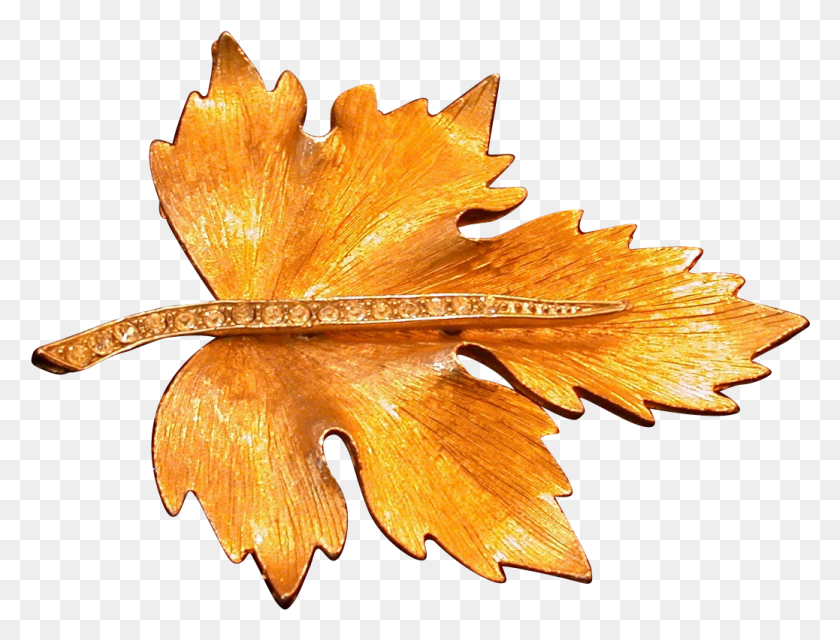 1038x773 Goldtone Textured Metal Leaf Pin Wrhinestone Stem Maple Leaf, Plant, Tree, Fungus HD PNG Download