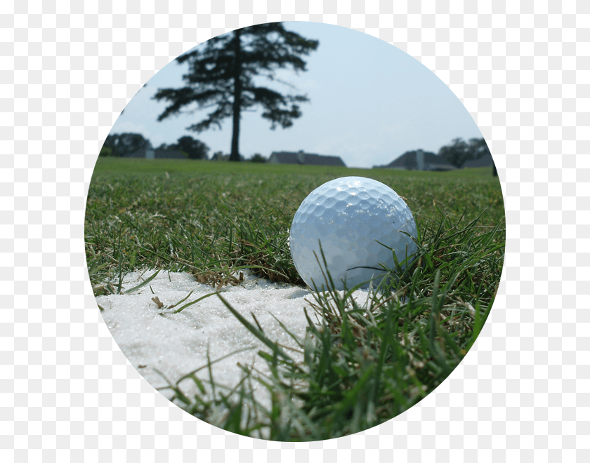 600x600 Golf Ball Grass, Ball, Golf, Sport HD PNG Download
