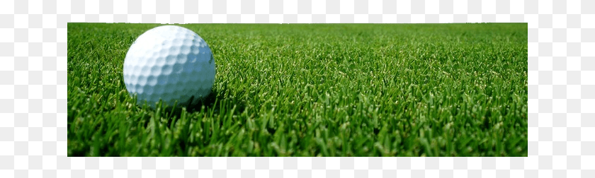 651x192 Golf Golf Ball On Fairway, Grass, Plant, Lawn HD PNG Download