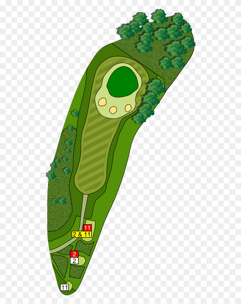 524x1001 Golf Hole Diagram Diagram Of A Golf Hole, Plant, Vegetable, Food HD PNG Download