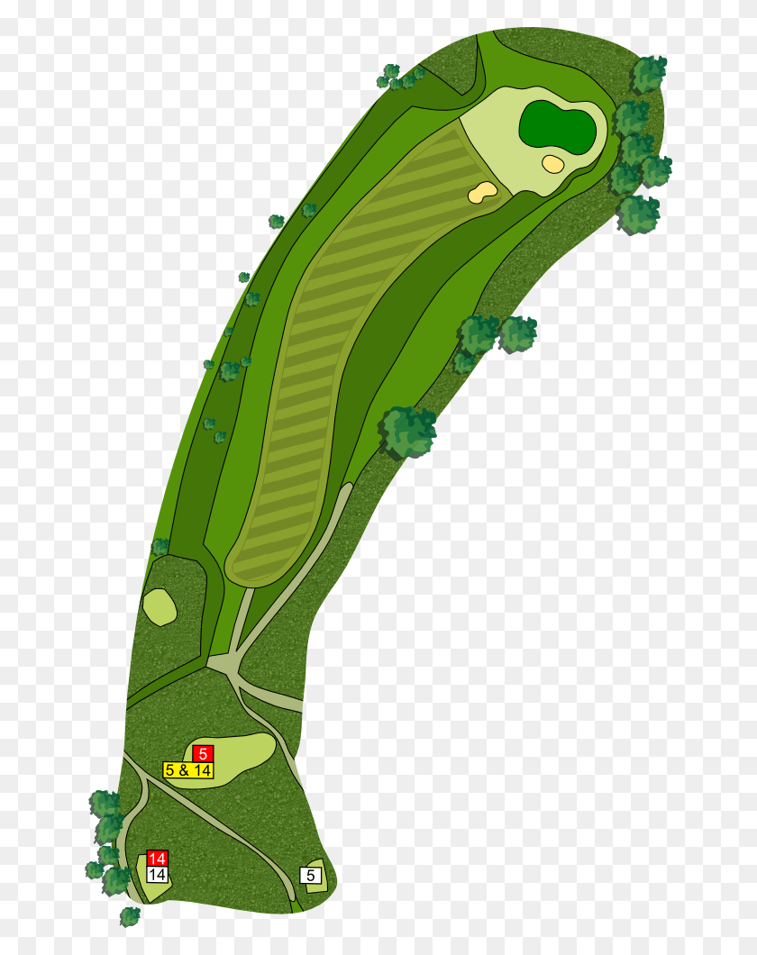 652x1000 Golf Hole Diagram Par 4 Hole Diagram, Lizard, Reptile, Animal HD PNG Download