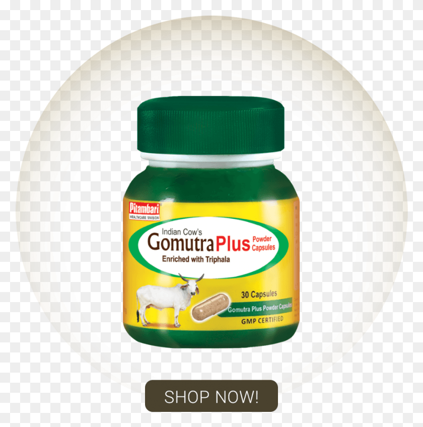 922x932 Gomutra Plus Capsule Is An Innovative Product Of Pitambari Reptile, Label, Text, Plant HD PNG Download