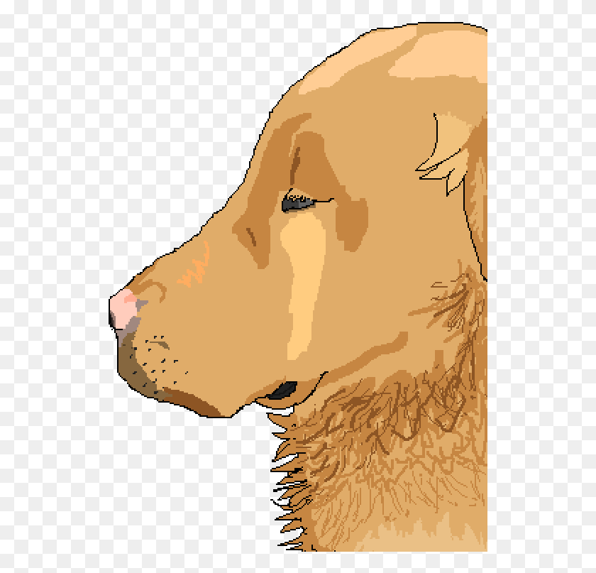 535x747 Good Boy Is Sad Golden Retriever, Helicopter, Aircraft, Vehicle HD PNG Download