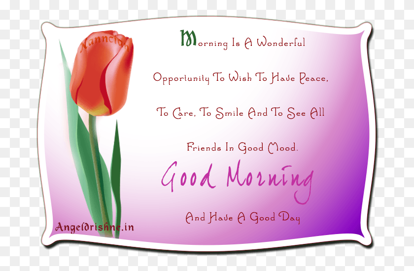 699x490 Good Morning And Have A Good Day Take Care Have A Nice Day, Plant, Flower, Blossom HD PNG Download