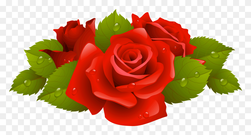 1911x963 Доброе Утро, Милая Девушка, Роза, Цветок, Растение Hd Png Скачать