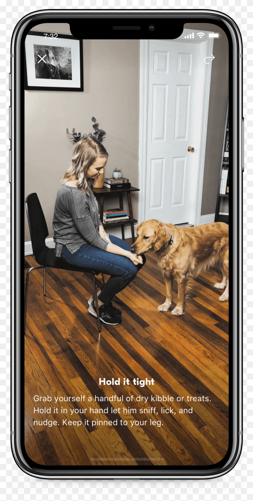 862x1772 Good With Dogs Golden Retriever, Wood, Person, Hardwood HD PNG Download