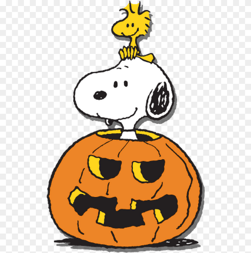 530x845 Google Clipart Freeuse Library Snoopy Halloween, Festival, Face, Head, Person Transparent PNG