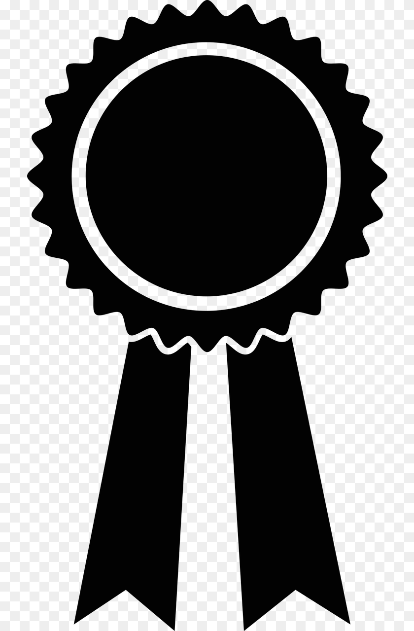 731x1280 Google It Support Professional Certificate Clipart PNG