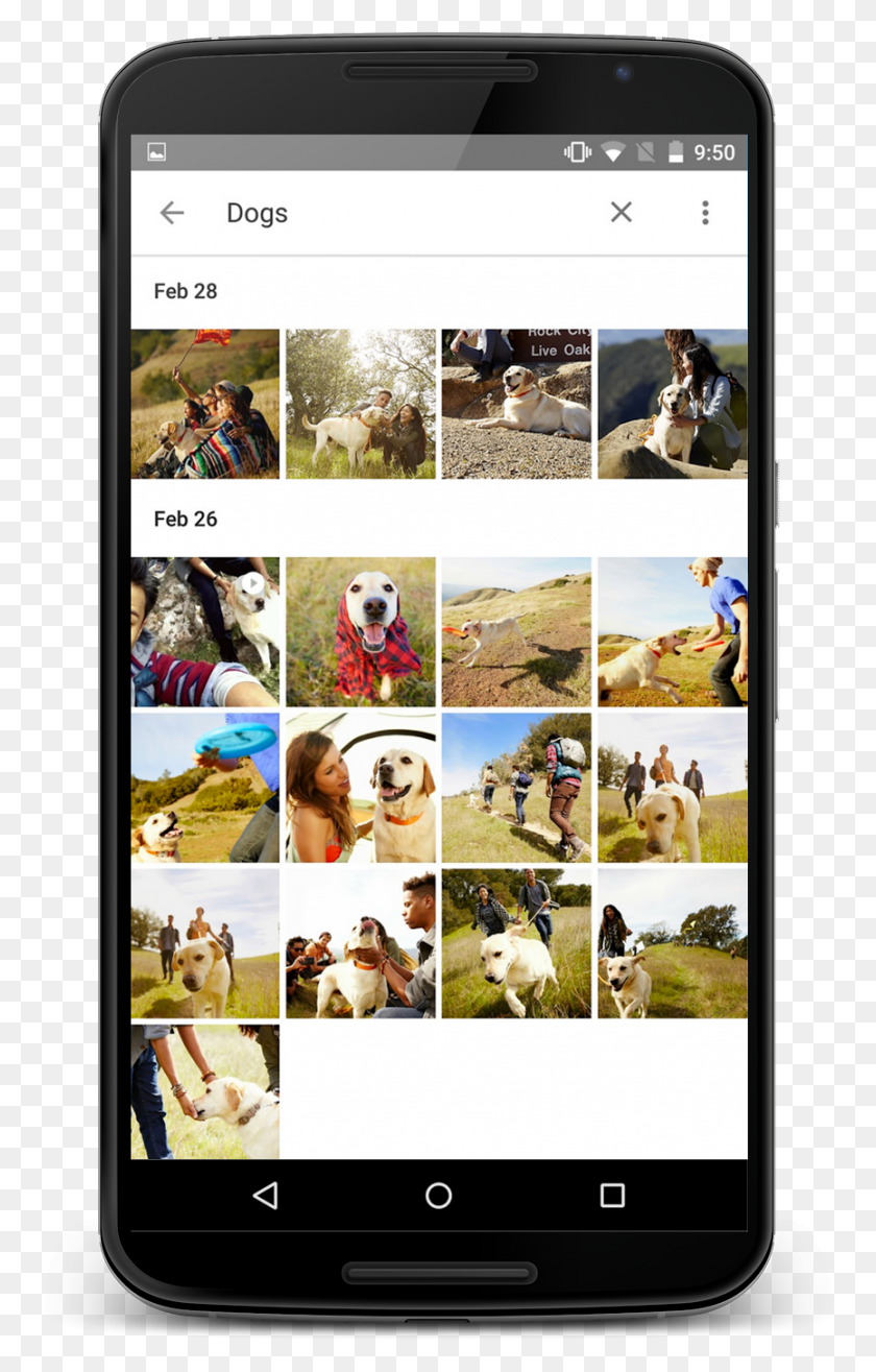 865x1392 Google Photos, Collage, Poster, Advertisement HD PNG Download