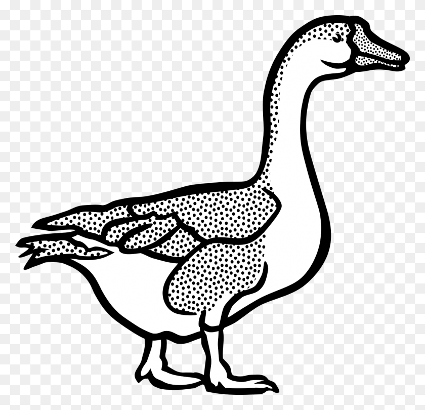 1280x1232 Goose Black And White, Animal, Bird, Beak HD PNG Download