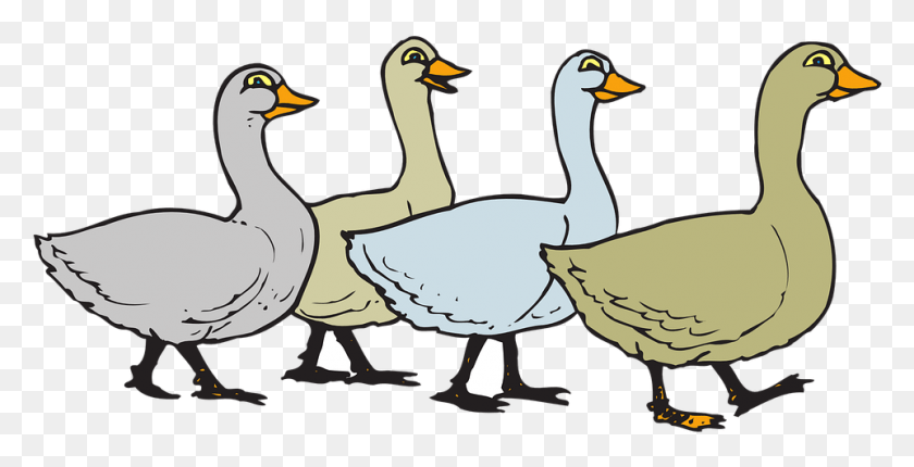961x457 Goose Cartoon Anserinae, Bird, Animal, Duck HD PNG Download