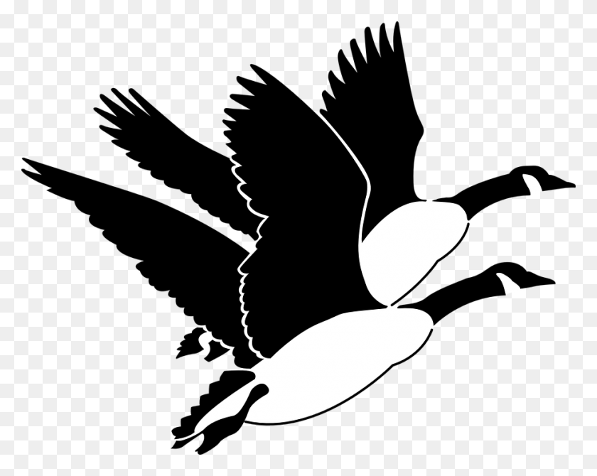 920x720 Goose Clipart Gander Flying Geese Clipart, Stencil, Pillow HD PNG Download