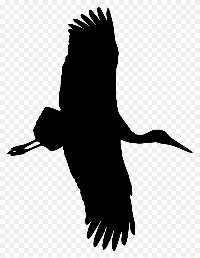 1830x2400 Goose Cygnini Water Bird Eagle Duck Stork Silhouette, Gray, World Of Warcraft HD PNG Download