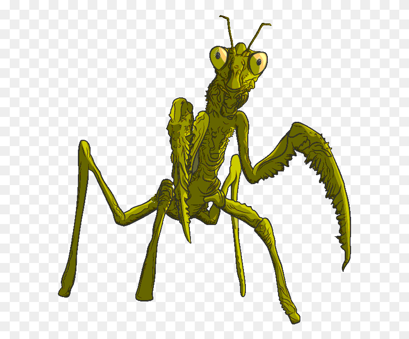 603x636 La Piel De Gallina La Piel De Gallina Transparente Gif Mantis Religiosa, Invertebrado, Animal, Insecto Hd Png