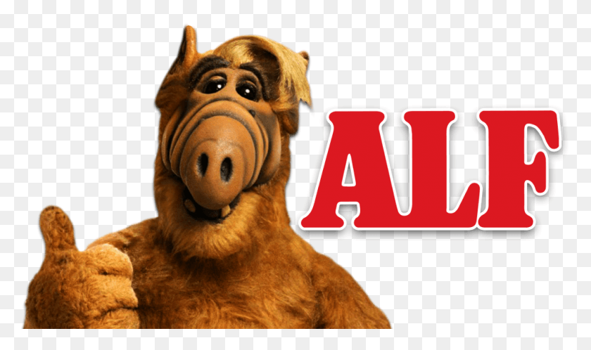 1000x562 Gordon Shumway Could Be Heading Back To Tv In A New Alf Clipart, Dog, Pet, Canine HD PNG Download