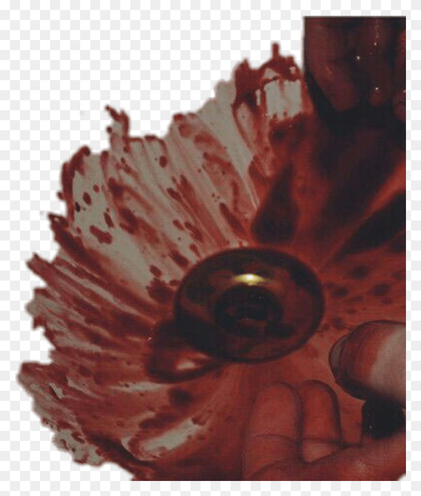 1024x1222 Gore Blood Aesthetic Bloodwarning Bloodysink Bloodyhands Aesthetic Bloody Hands, Plant, Person, Human HD PNG Download