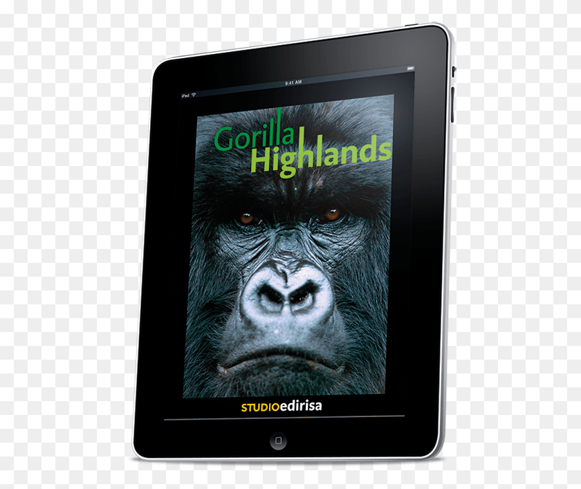 480x647 Gorilla, Electronics, Wildlife, Animal HD PNG Download