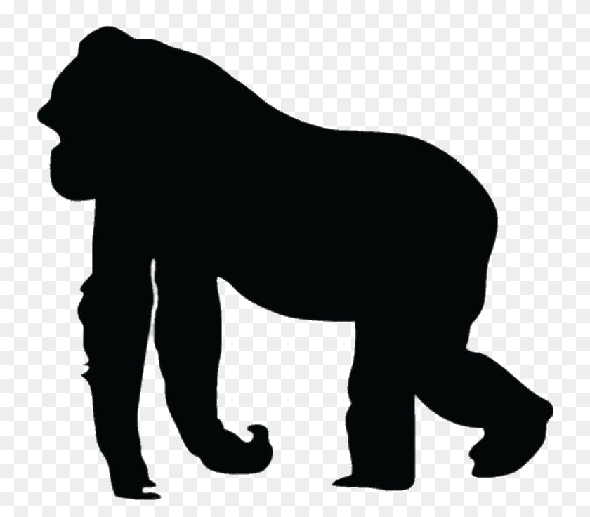 736x736 Gorilla, Silhouette, Animal, Ape, Mammal Clipart PNG
