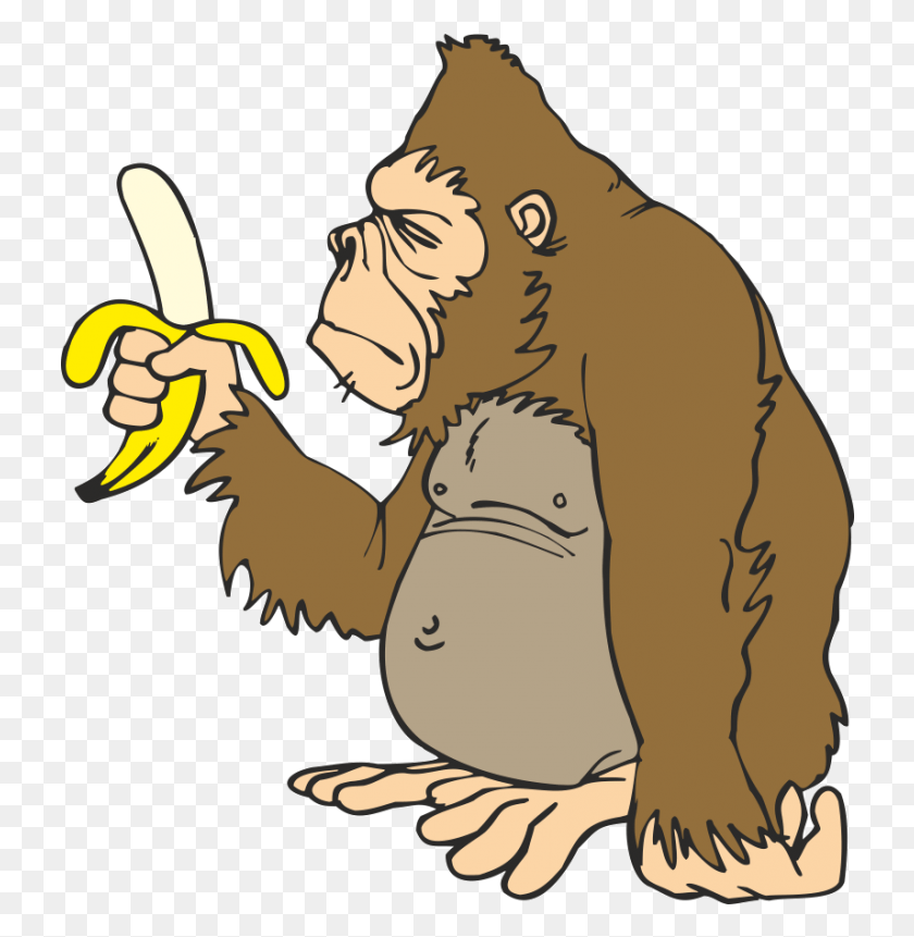 730x801 Descargar Png Gorila Banana Animación Clip Een Aap Die Geen Bananen Eet, Ape, Wildlife, Mammal Hd Png