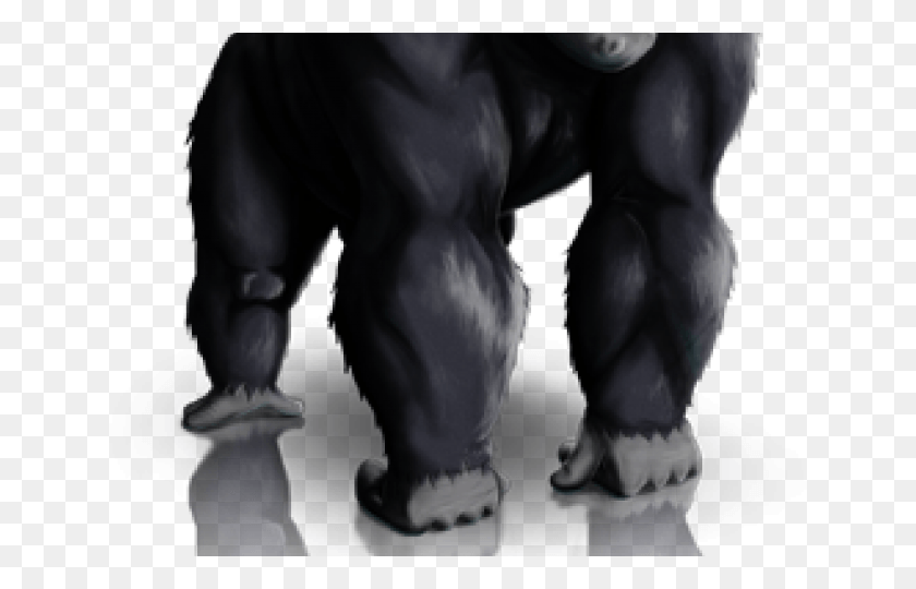 640x480 Gorilla Clipart Endangered Animal Wild Animals Finger Family, Torso, Hand, Person HD PNG Download