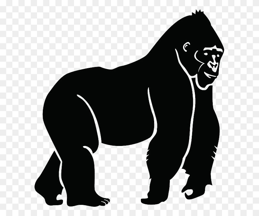 615x640 Gorilla Vector, Ape, Wildlife, Mammal HD PNG Download